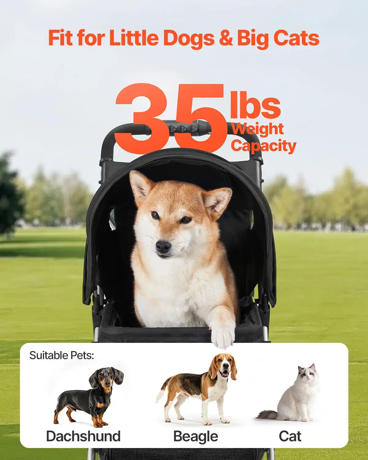sereocollaronline.it.com