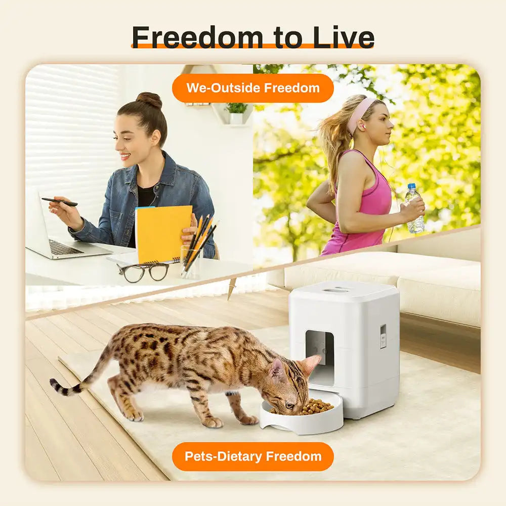 sereocollaronline.it.com