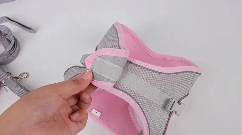sereocollaronline.it.com