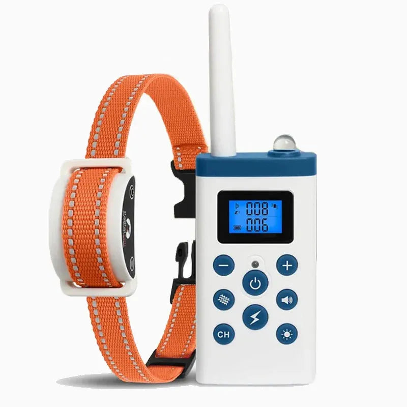 sereocollaronline.it.com