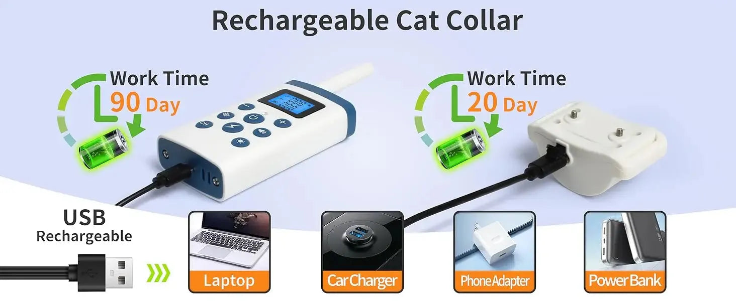 sereocollaronline.it.com