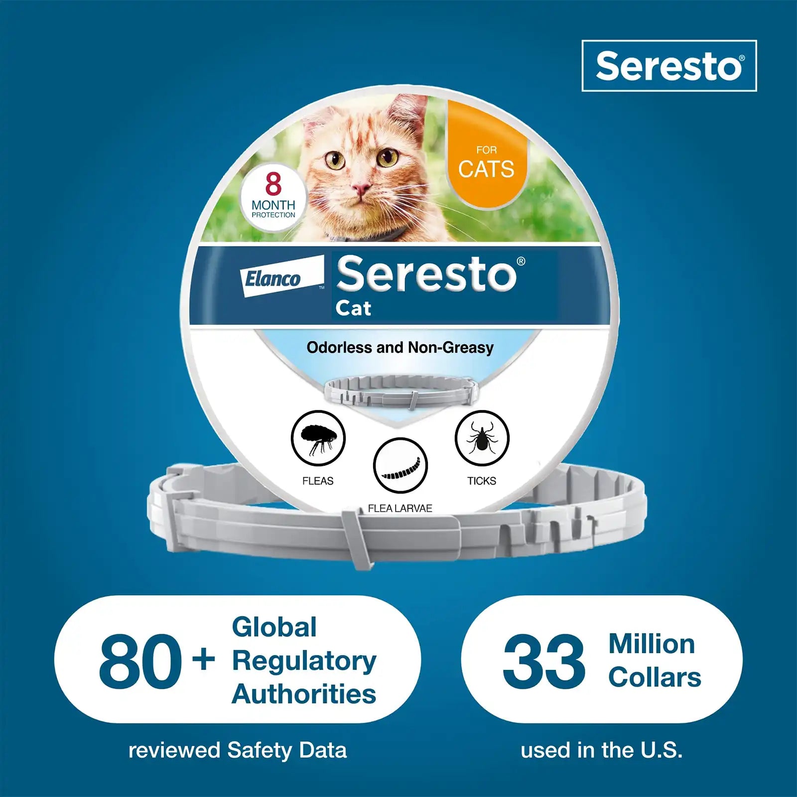 sereocollaronline.it.com