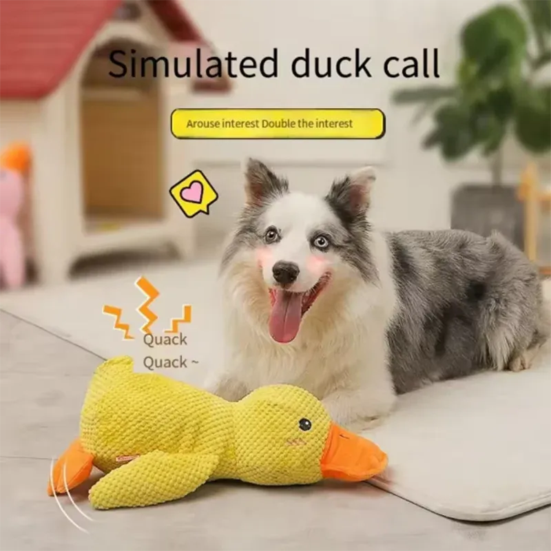sereocollaronline.it.com