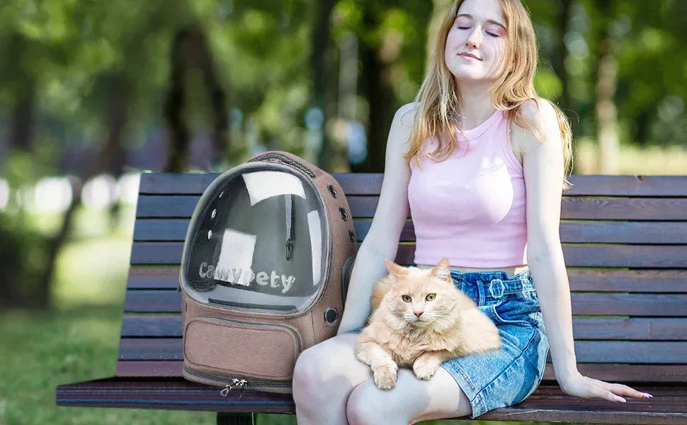 sereocollaronline.it.com