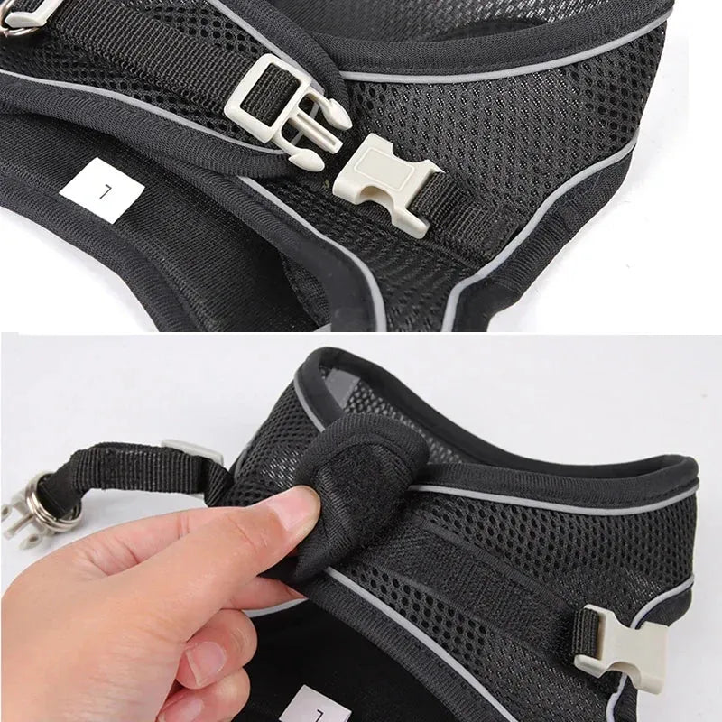 sereocollaronline.it.com