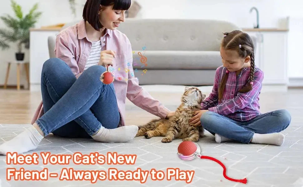 sereocollaronline.it.com