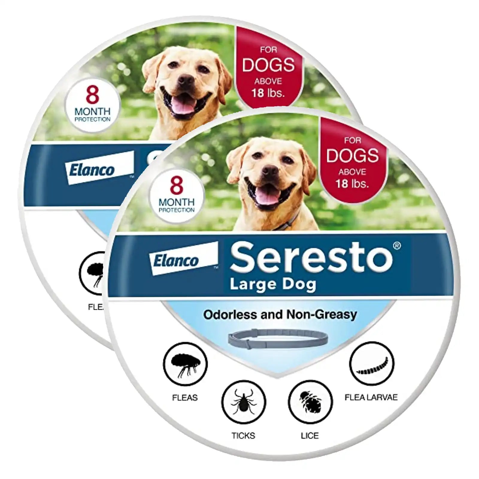 sereocollaronline.it.com