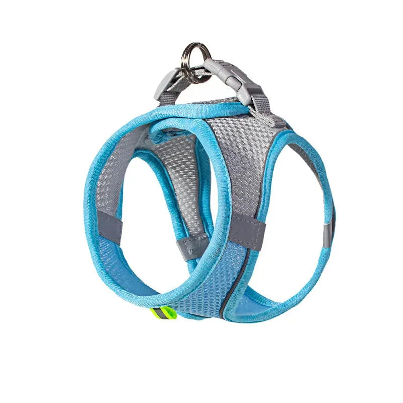 sereocollaronline.it.com