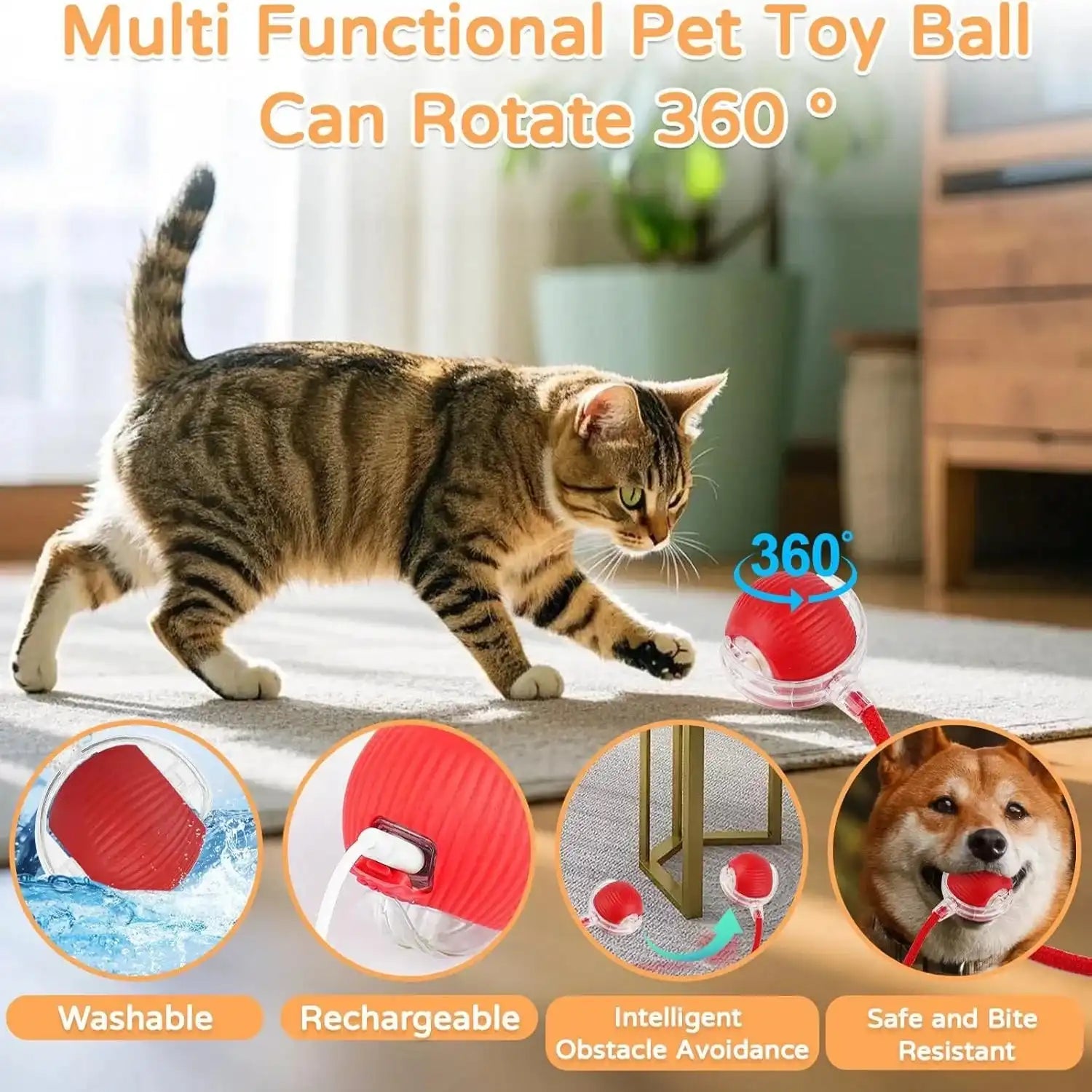 sereocollaronline.it.com