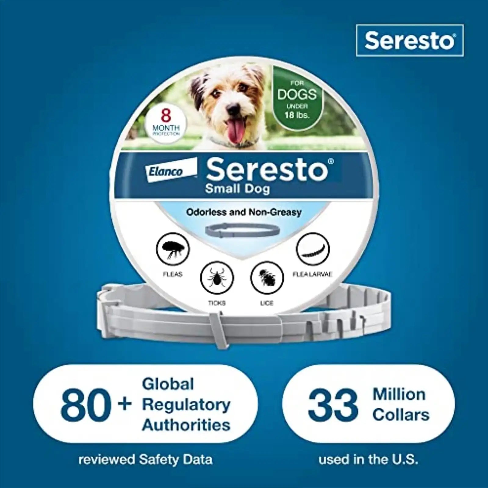 sereocollaronline.it.com