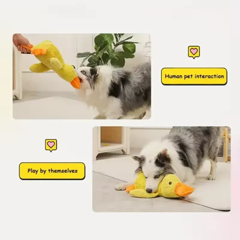 sereocollaronline.it.com