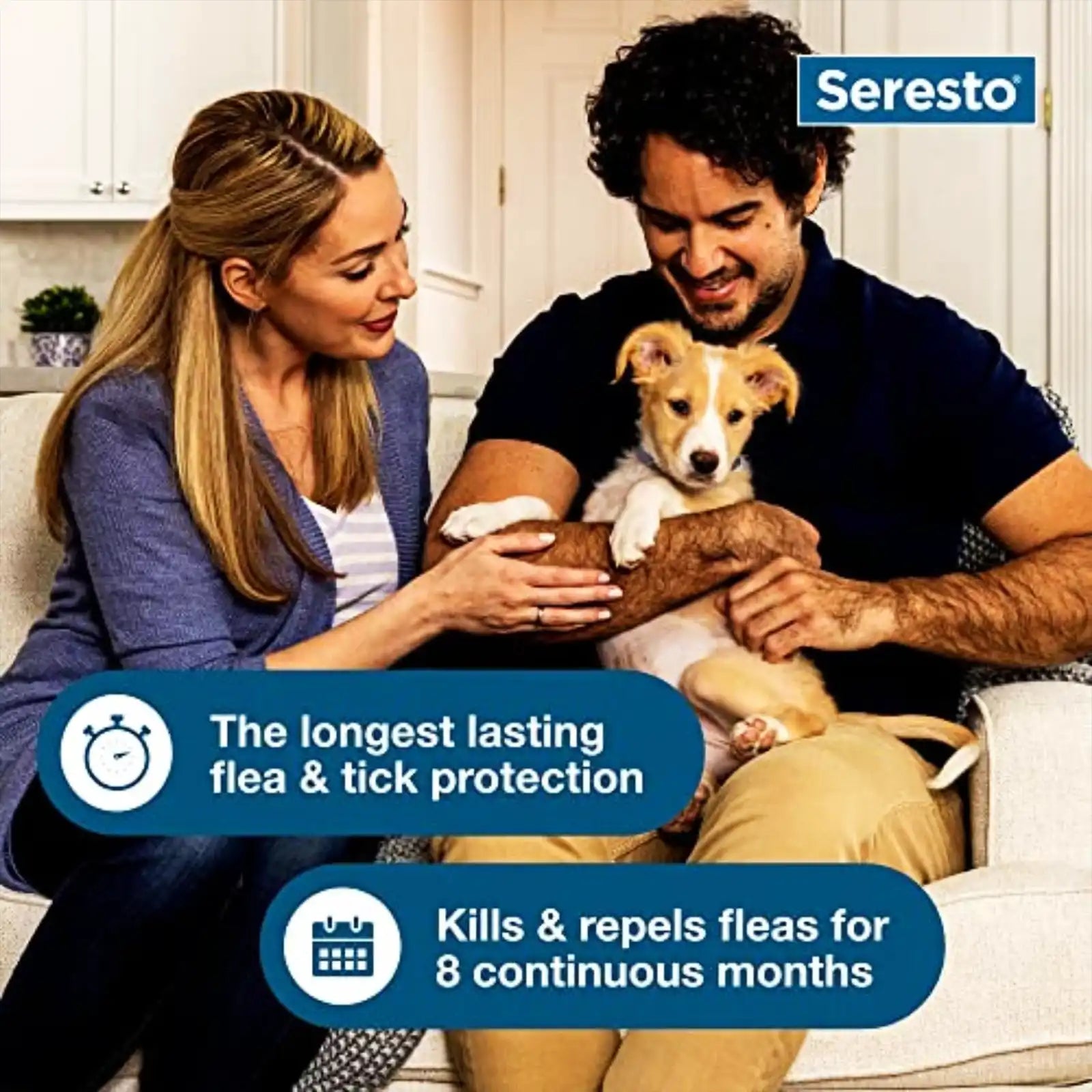 sereocollaronline.it.com