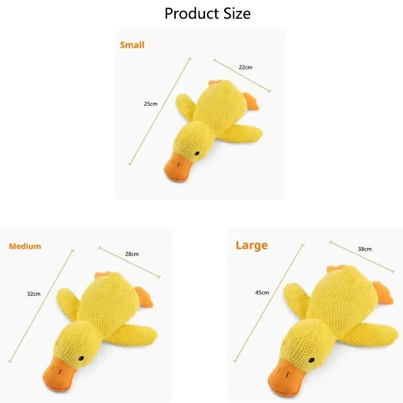 sereocollaronline.it.com