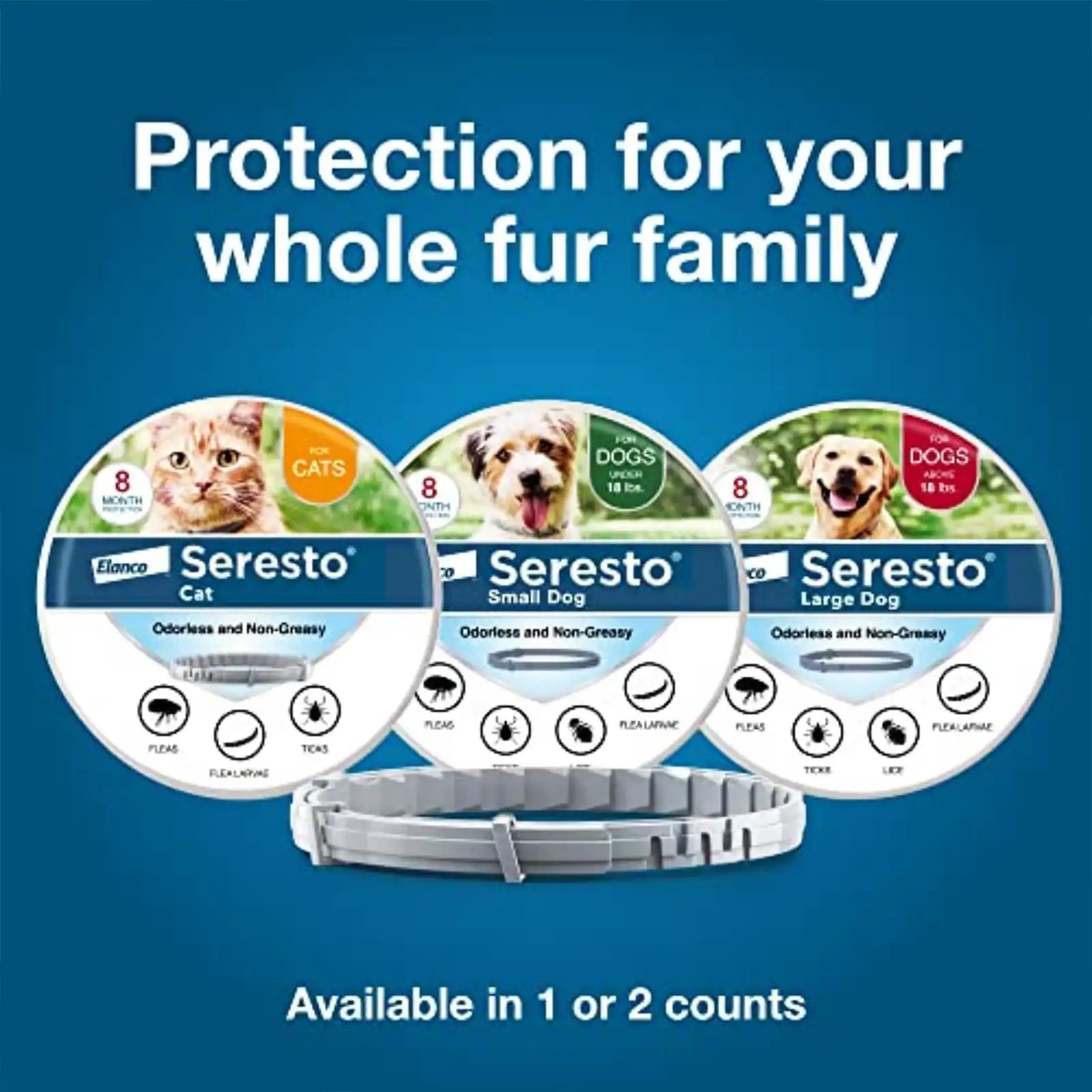 sereocollaronline.it.com