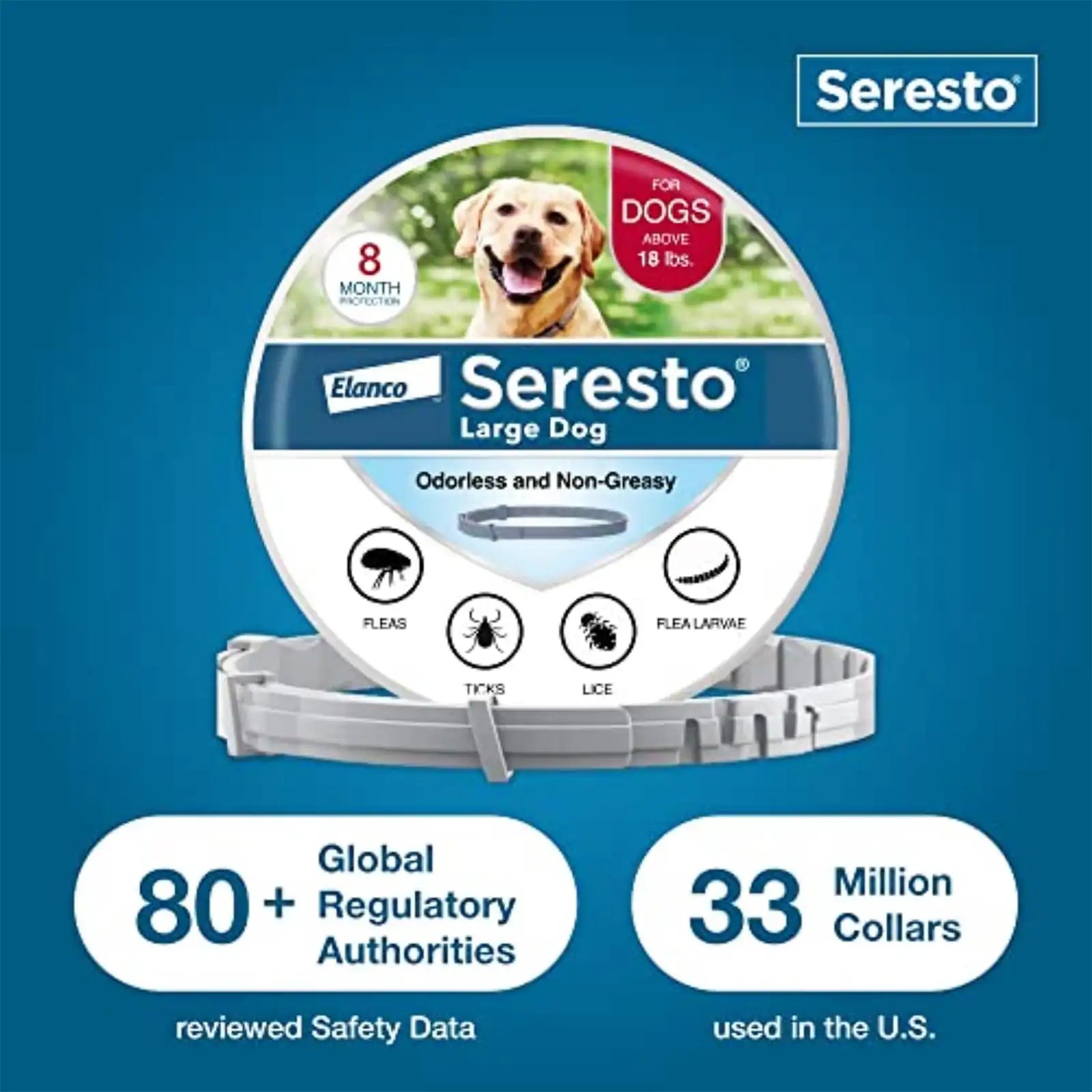 sereocollaronline.it.com