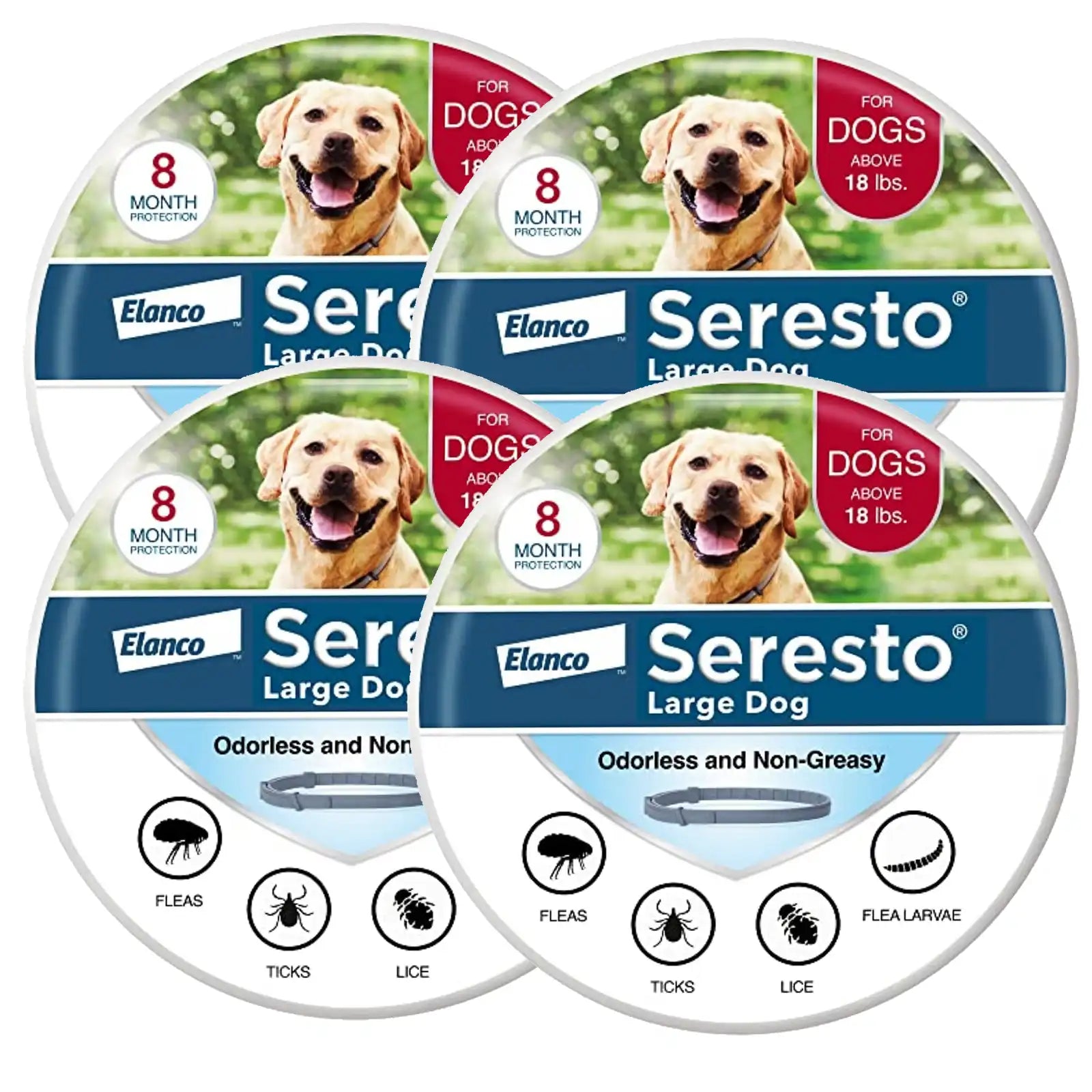 sereocollaronline.it.com