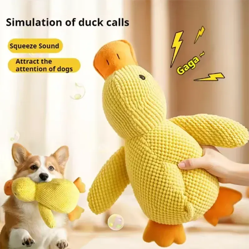sereocollaronline.it.com