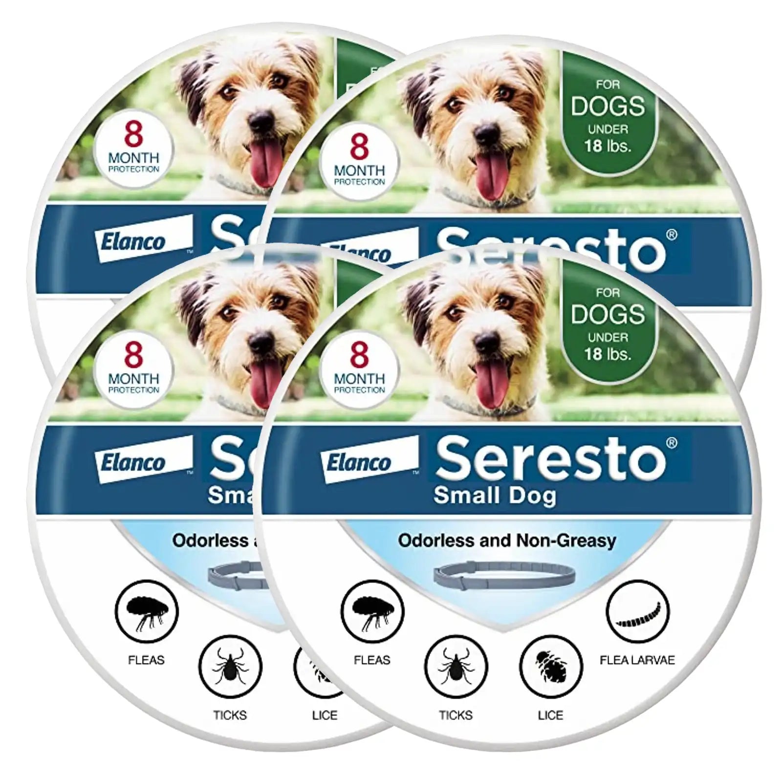 sereocollaronline.it.com