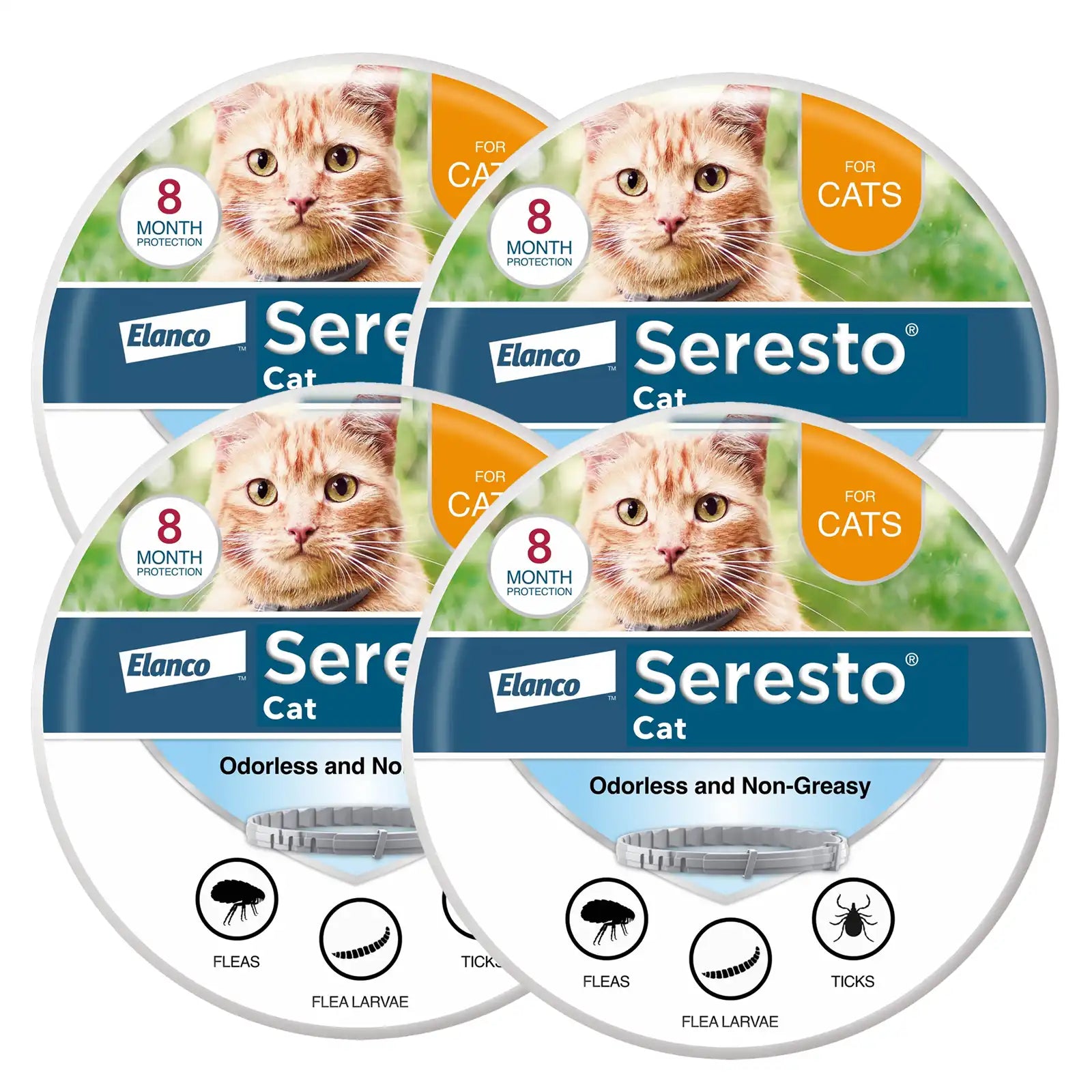 sereocollaronline.it.com