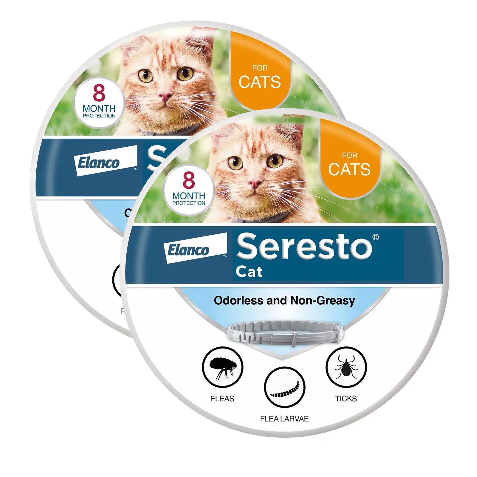 sereocollaronline.it.com