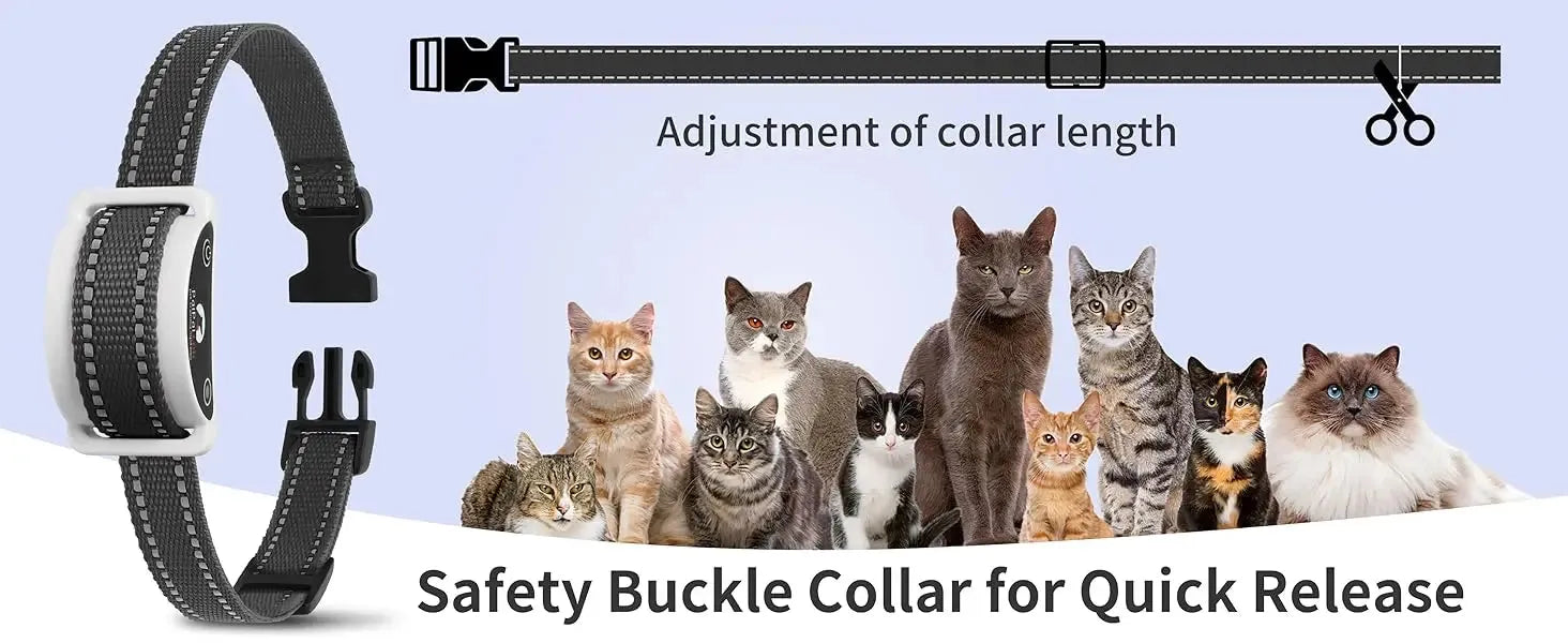 sereocollaronline.it.com