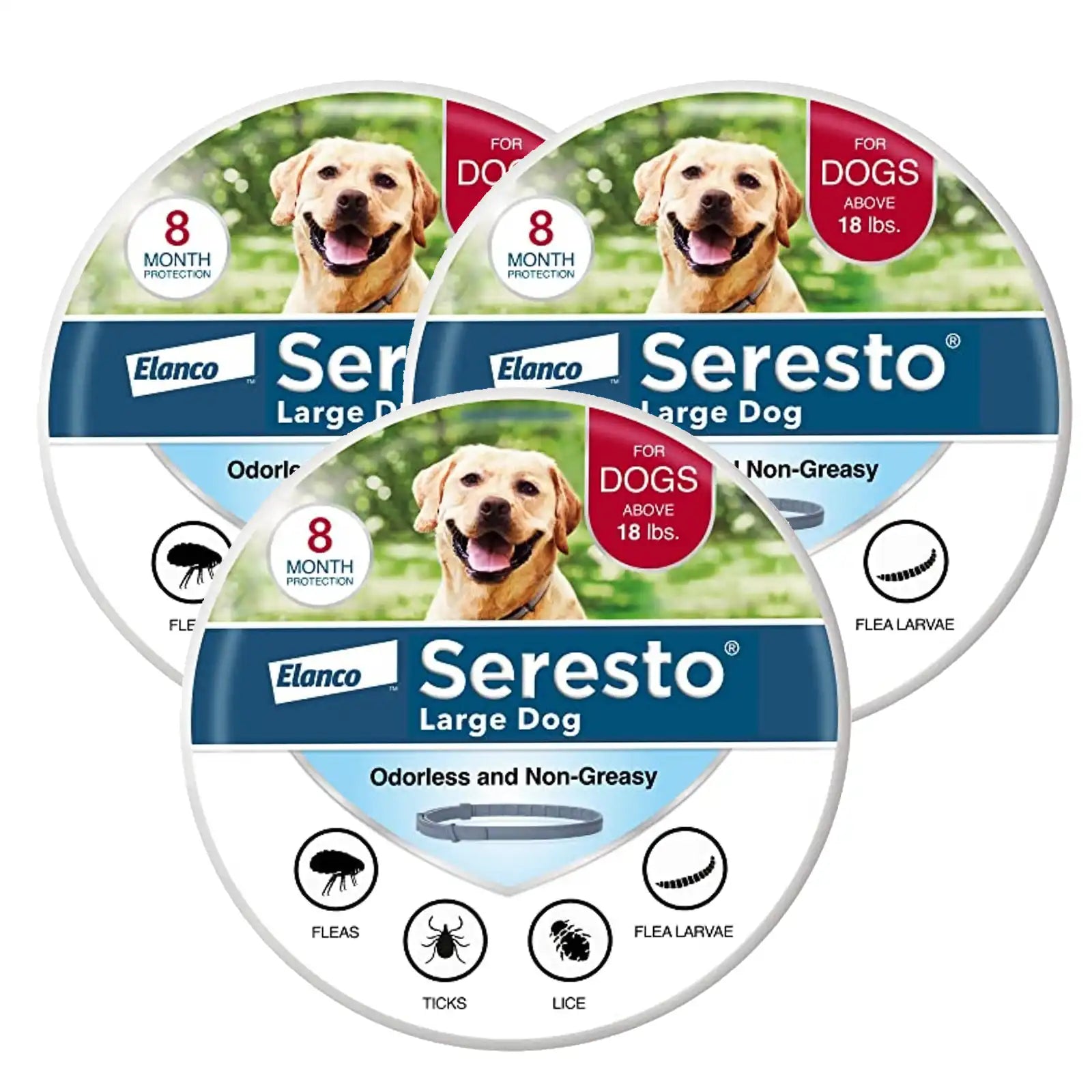 sereocollaronline.it.com