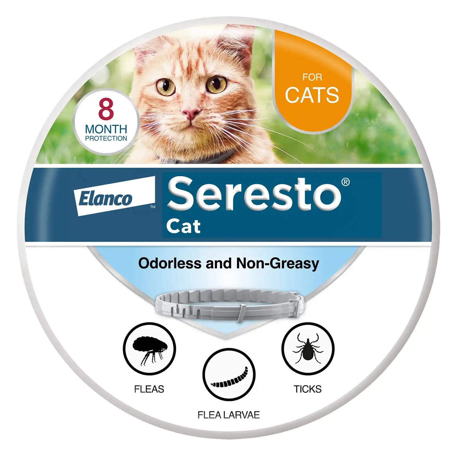 sereocollaronline.it.com